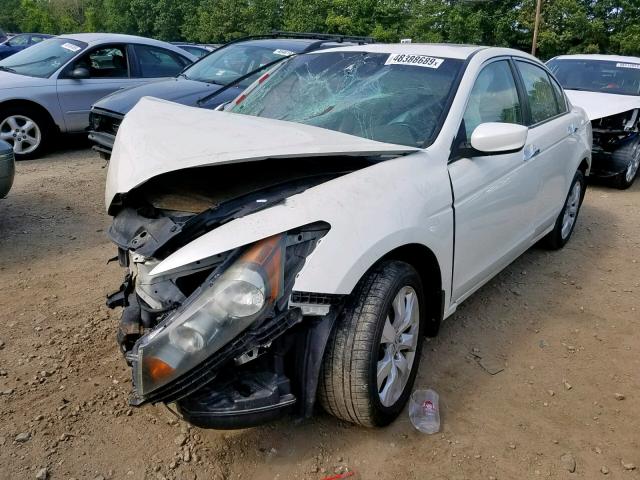 1HGCP36859A010443 - 2009 HONDA ACCORD EXL WHITE photo 2