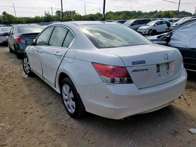 1HGCP36859A010443 - 2009 HONDA ACCORD EXL WHITE photo 3