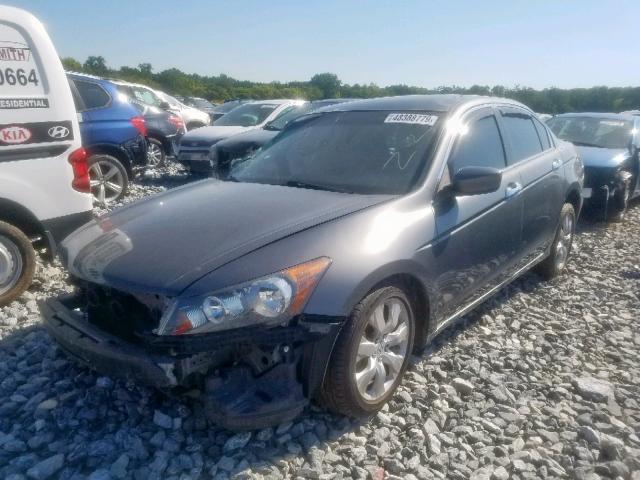 1HGCP36829A003613 - 2009 HONDA ACCORD EXL GRAY photo 2