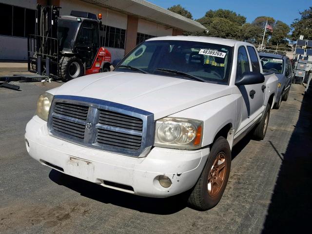 1D7HE48N55S250864 - 2005 DODGE DAKOTA QUA WHITE photo 2