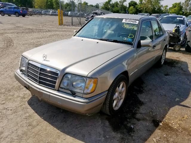 WDBEA34E3RC038469 - 1994 MERCEDES-BENZ E 420 GOLD photo 2