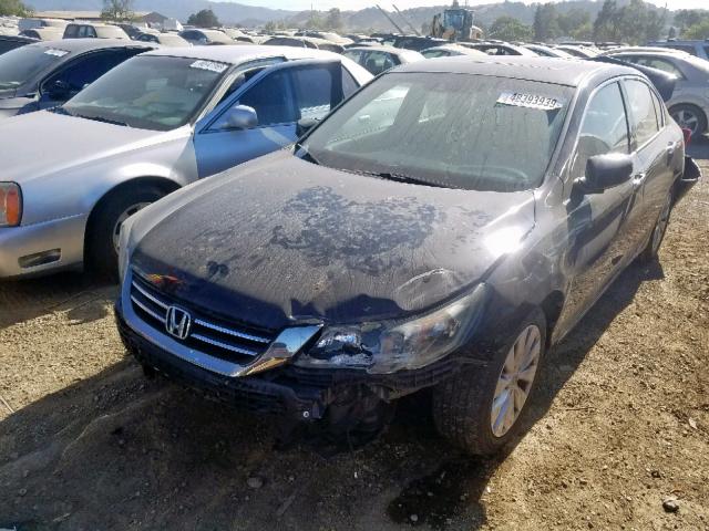 1HGCR3F84DA037457 - 2013 HONDA ACCORD EXL BLACK photo 2