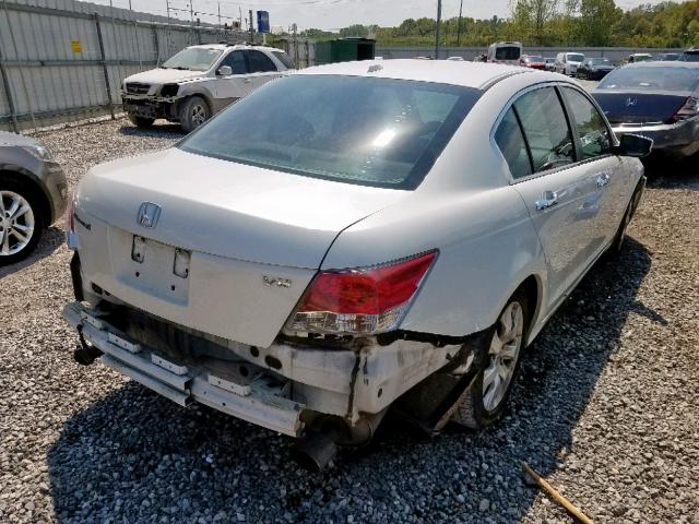 5KBCP3F80AB011267 - 2010 HONDA ACCORD EXL WHITE photo 4