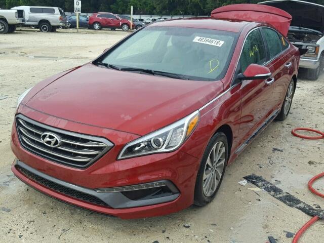 5NPE34AFXGH339594 - 2016 HYUNDAI SONATA SPO RED photo 2