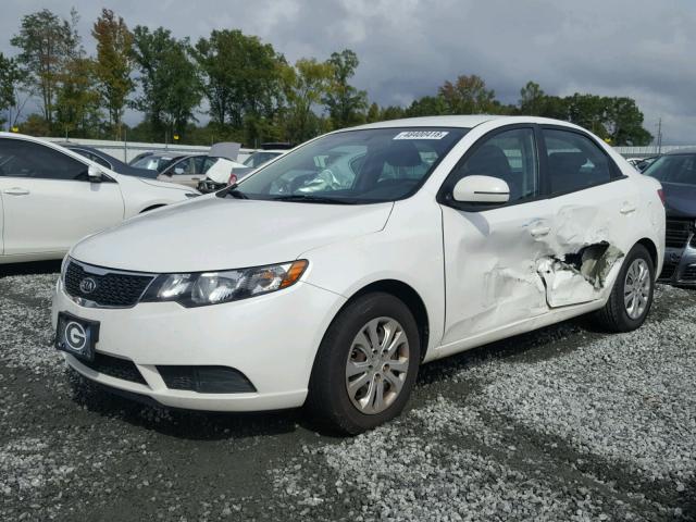 KNAFU4A28D5736437 - 2013 KIA FORTE EX WHITE photo 2