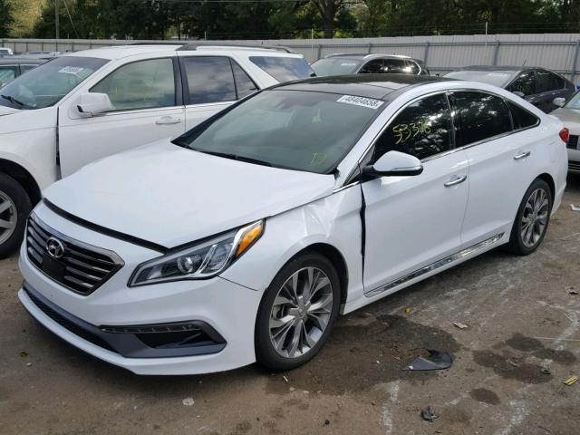 5NPE34AB9FH250675 - 2015 HYUNDAI SONATA SPO WHITE photo 2