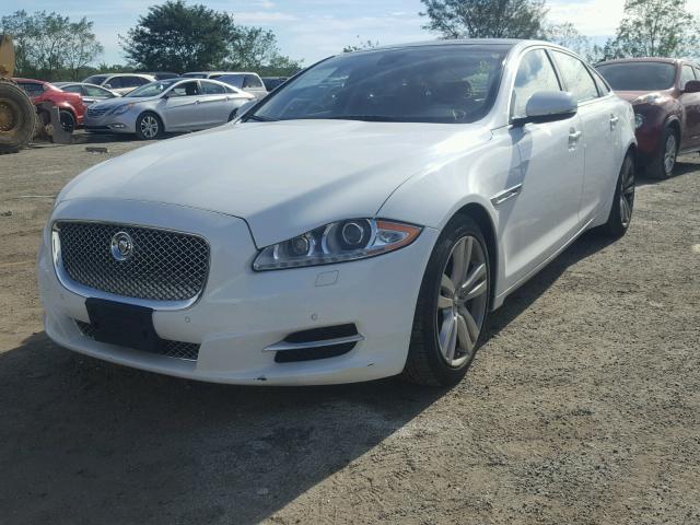 SAJWA2GB5BLV10504 - 2011 JAGUAR XJ L BASE WHITE photo 2