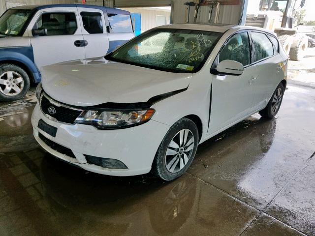 KNAFU5A21D5667211 - 2013 KIA FORTE EX WHITE photo 2