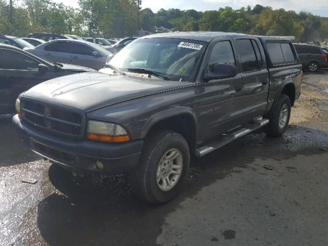 1B7HG38NX2S591722 - 2002 DODGE DAKOTA QUA GRAY photo 2