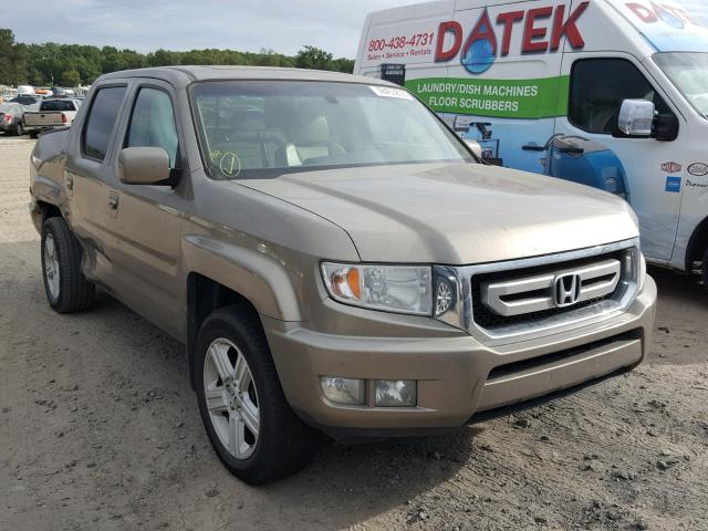 5FPYK16529B107482 - 2009 HONDA RIDGELINE GOLD photo 1