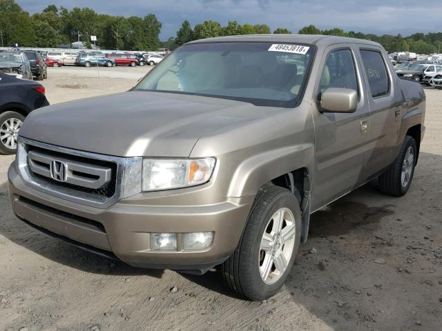 5FPYK16529B107482 - 2009 HONDA RIDGELINE GOLD photo 2