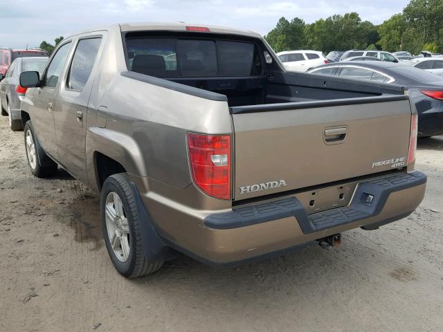 5FPYK16529B107482 - 2009 HONDA RIDGELINE GOLD photo 3