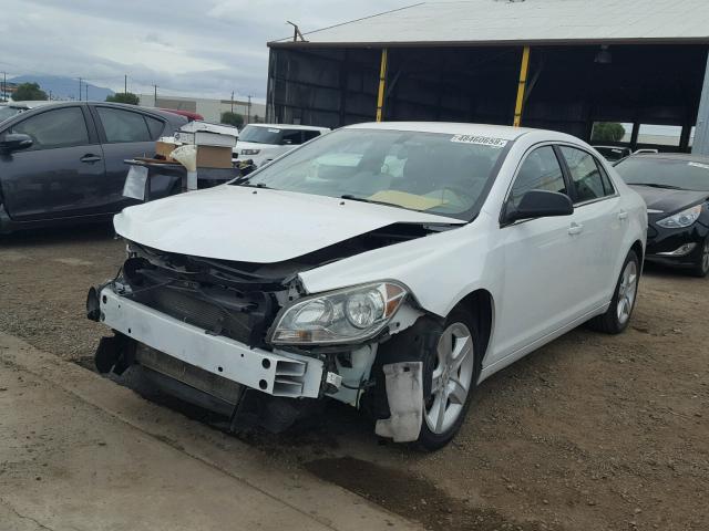 1G1ZA5EU9BF340043 - 2011 CHEVROLET MALIBU LS თეთრი ფოტო 2