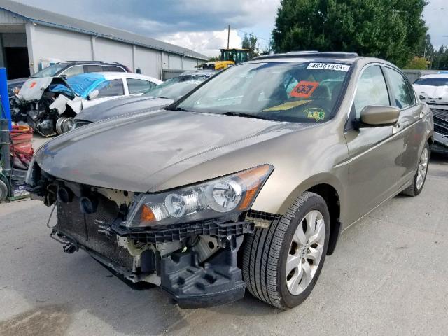 1HGCP26839A199135 - 2009 HONDA ACCORD EXL BEIGE photo 2