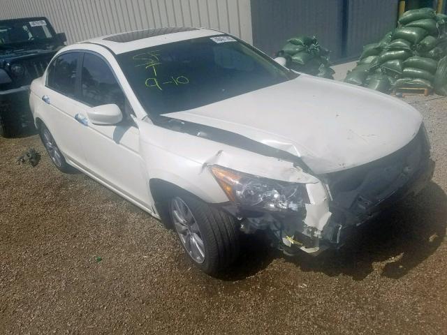 5KBCP3F80BB004403 - 2011 HONDA ACCORD EXL WHITE photo 1