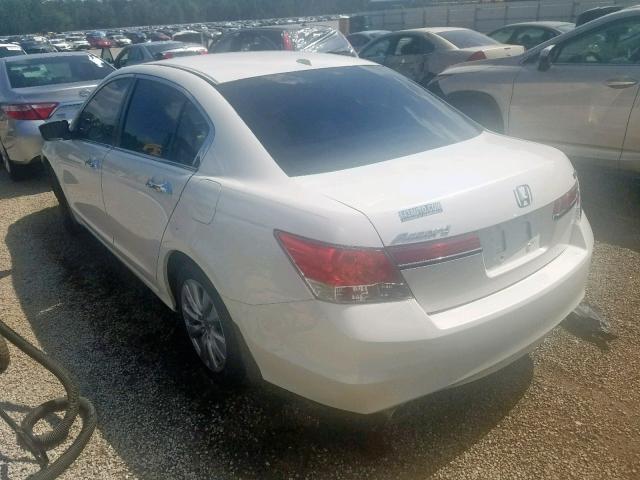 5KBCP3F80BB004403 - 2011 HONDA ACCORD EXL WHITE photo 3