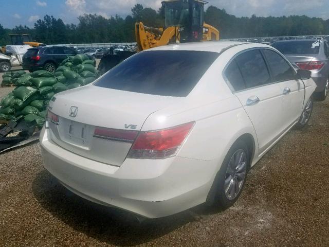 5KBCP3F80BB004403 - 2011 HONDA ACCORD EXL WHITE photo 4