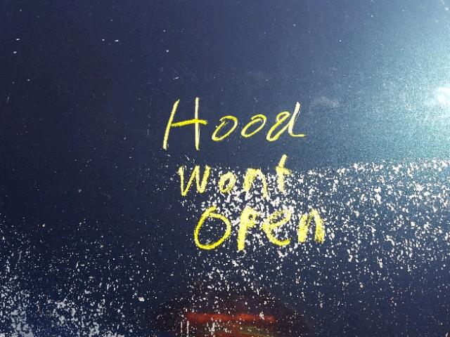 1Y1SK5288WZ440230 - 1998 CHEVROLET GEO PRIZM 绿色 照片 7