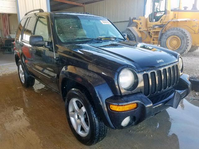 1J4GK58K24W299273 - 2004 JEEP LIBERTY LI BLACK photo 1