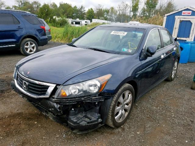 5KBCP3F81AB014226 - 2010 HONDA ACCORD EXL BLUE photo 2