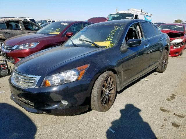 1HGCP36868A005704 - 2008 HONDA ACCORD EXL BLACK photo 2