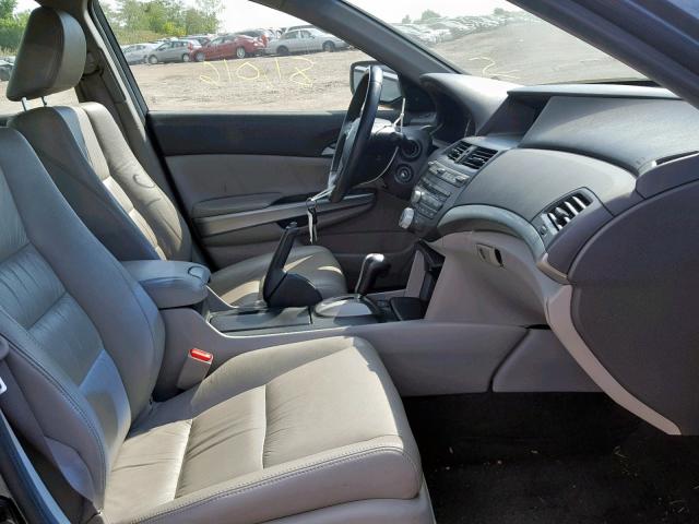 5KBCP3F81AB012217 - 2010 HONDA ACCORD EXL BLUE photo 5