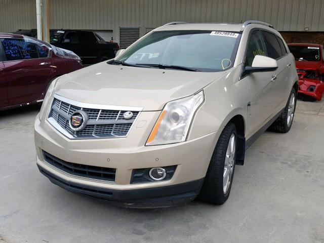 3GYFNBEY8BS595434 - 2011 CADILLAC SRX PERFOR GOLD photo 2