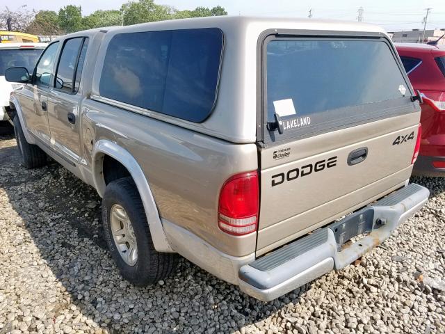 1B7HG48N92S595671 - 2002 DODGE DAKOTA QUA BEIGE photo 3