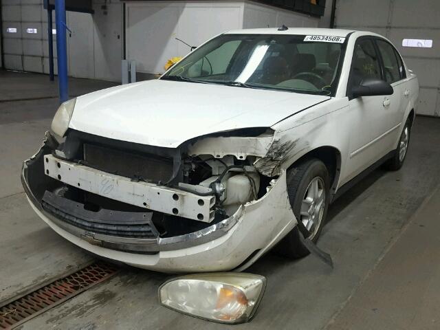 1G1ZT54805F269642 - 2005 CHEVROLET MALIBU LS 白色 照片 2