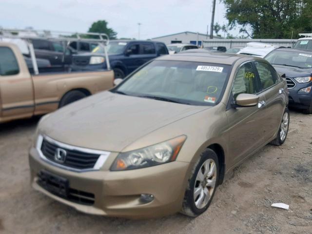 5KBCP3F81AB005803 - 2010 HONDA ACCORD EXL BEIGE photo 2