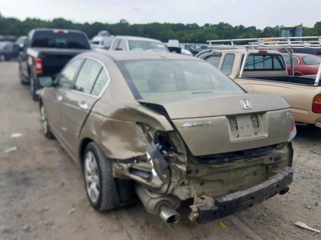 5KBCP3F81AB005803 - 2010 HONDA ACCORD EXL BEIGE photo 3