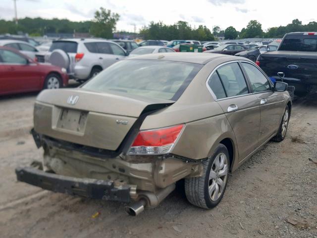 5KBCP3F81AB005803 - 2010 HONDA ACCORD EXL BEIGE photo 4