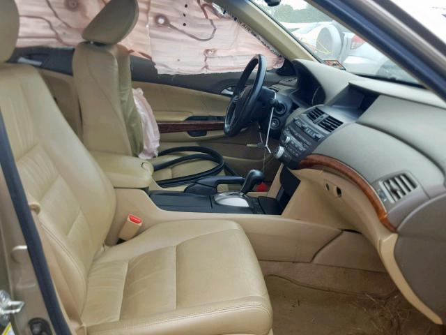 5KBCP3F81AB005803 - 2010 HONDA ACCORD EXL BEIGE photo 5