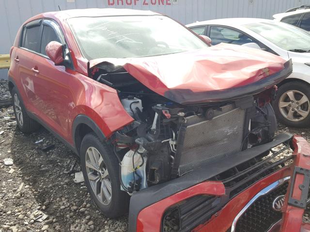 KNDPB3AC6E7564348 - 2014 KIA SPORTAGE B RED photo 1