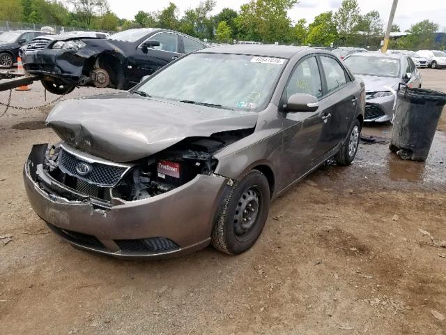 KNAFU4A20A5241919 - 2010 KIA FORTE EX GRAY photo 2