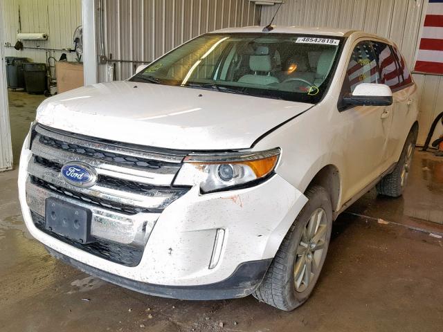 2FMDK4JCXEBA95292 - 2014 FORD EDGE SEL WHITE photo 2