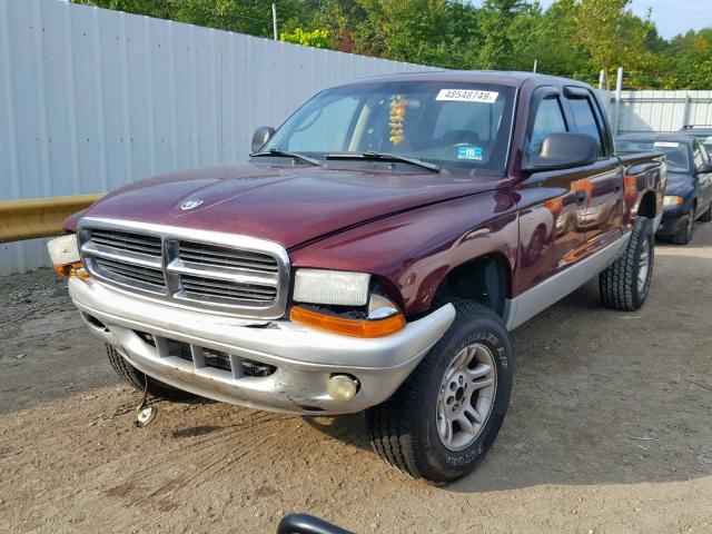 1D7HG48N23S221555 - 2003 DODGE DAKOTA QUA BURGUNDY photo 2