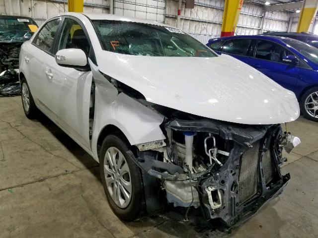 KNAFU4A26A5303615 - 2010 KIA FORTE EX WHITE photo 1