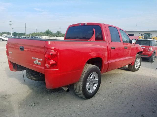 1D7RE3GK8BS520994 - 2011 DODGE DAKOTA SLT RED photo 4