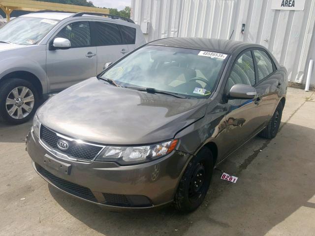 KNAFU4A25A5193236 - 2010 KIA FORTE EX BROWN photo 2