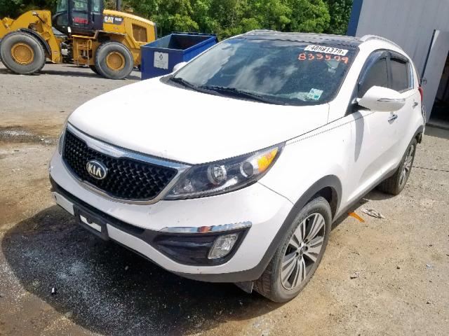 KNDPC3AC0G7835579 - 2016 KIA SPORTAGE E WHITE photo 2