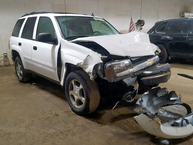 1GNDT13S872166946 - 2007 CHEVROLET TRAILBLAZER LS  photo 1