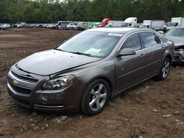 1G1ZC5E18BF205698 - 2011 CHEVROLET MALIBU 1LT ყავისფერი ფოტო 2