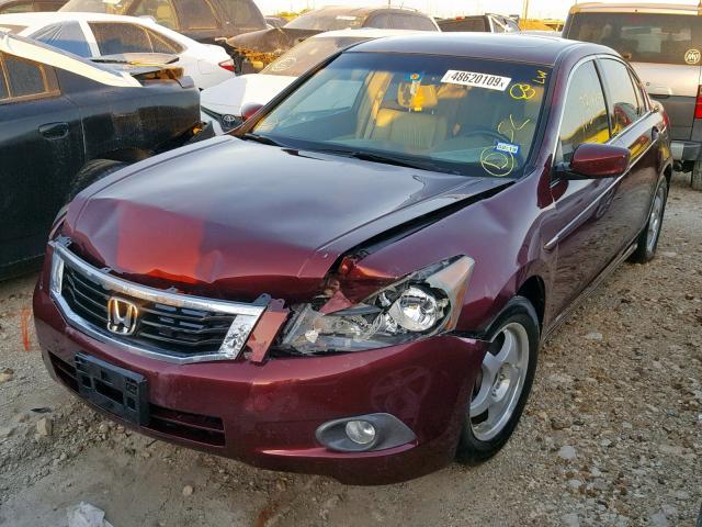 1HGCP25829A007074 - 2009 HONDA ACCORD EXL BURGUNDY photo 2