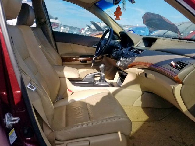 1HGCP25829A007074 - 2009 HONDA ACCORD EXL BURGUNDY photo 5