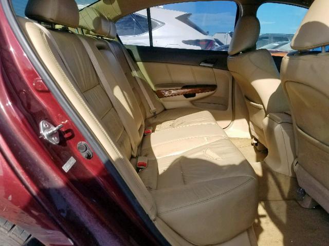 1HGCP25829A007074 - 2009 HONDA ACCORD EXL BURGUNDY photo 6