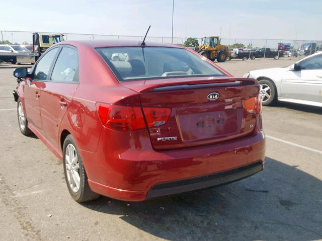 KNAFU4A24C5592495 - 2012 KIA FORTE EX RED photo 3