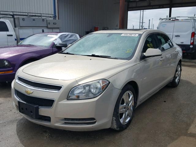 1G1ZC5EB1AF213407 - 2010 CHEVROLET MALIBU 1LT BEIGE photo 2