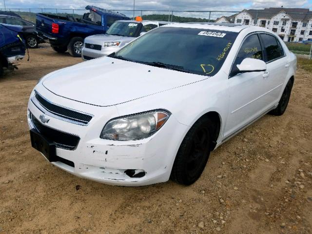 1G1ZC5EB7AF219499 - 2010 CHEVROLET MALIBU 1LT 白色 照片 2