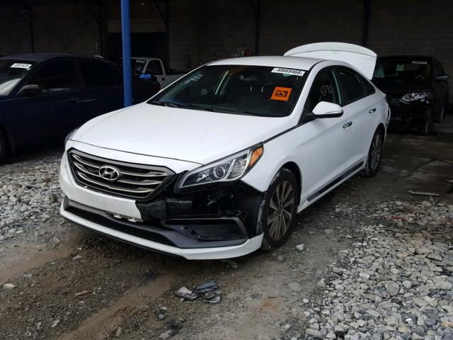 5NPE34AFXFH052027 - 2015 HYUNDAI SONATA SPO WHITE photo 2